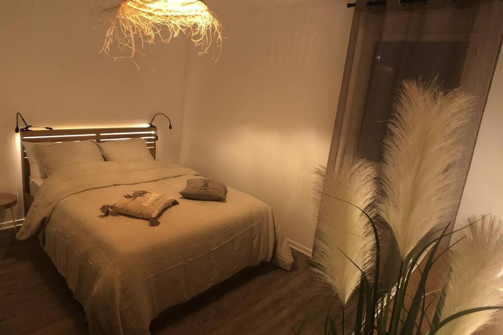 Appartement, Confort, Parking, Terrasse Dinan Exterior foto